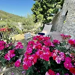 Casa Bella Rab 別荘 *